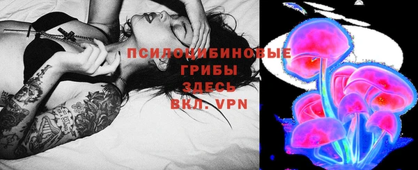гидра Алзамай