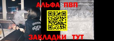 крисы Кингисепп