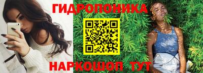 крисы Кингисепп
