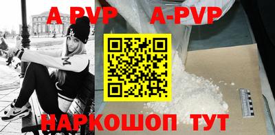 крисы Кингисепп