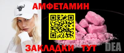 крисы Кингисепп