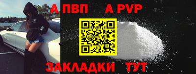 крисы Кингисепп