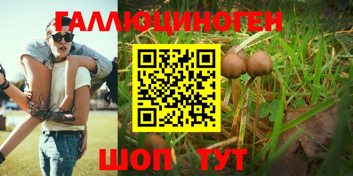Псилоцибиновые грибы Cubensis Клинцы