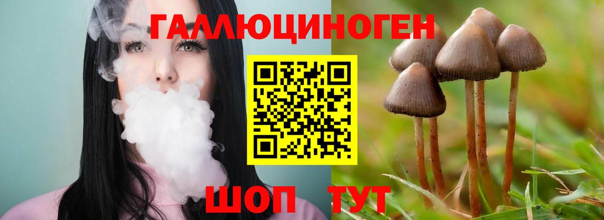 Псилоцибиновые грибы мухоморы  Псилоцибиновые грибы Psilocybe  Клинцы  Вход с VPN 