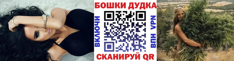 где можно купить наркотик  Клинцы  Конопля план 